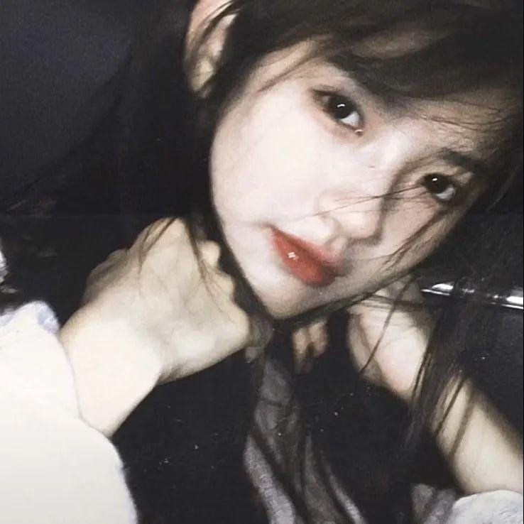 追星星的人第三季